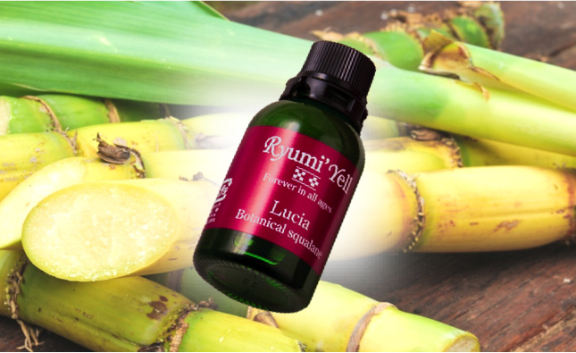 美容トピックス 沖縄の化粧品 Rymi Yell リュミエール