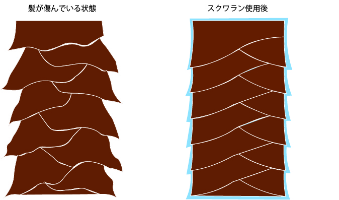 美容トピックス 沖縄の化粧品 Rymi Yell リュミエール